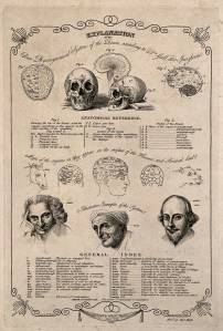 Phrenological chart of the skull and brain, 1818