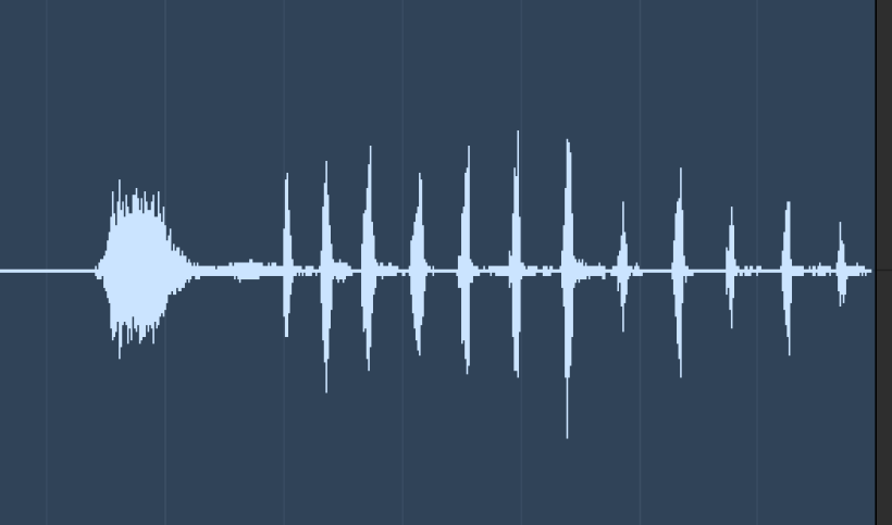 A screenshot of a sound wave of John Zeiler (Dr. Eric Aspinall)'s laughter. It resembles a fish skeleton, or a skeletal tree.