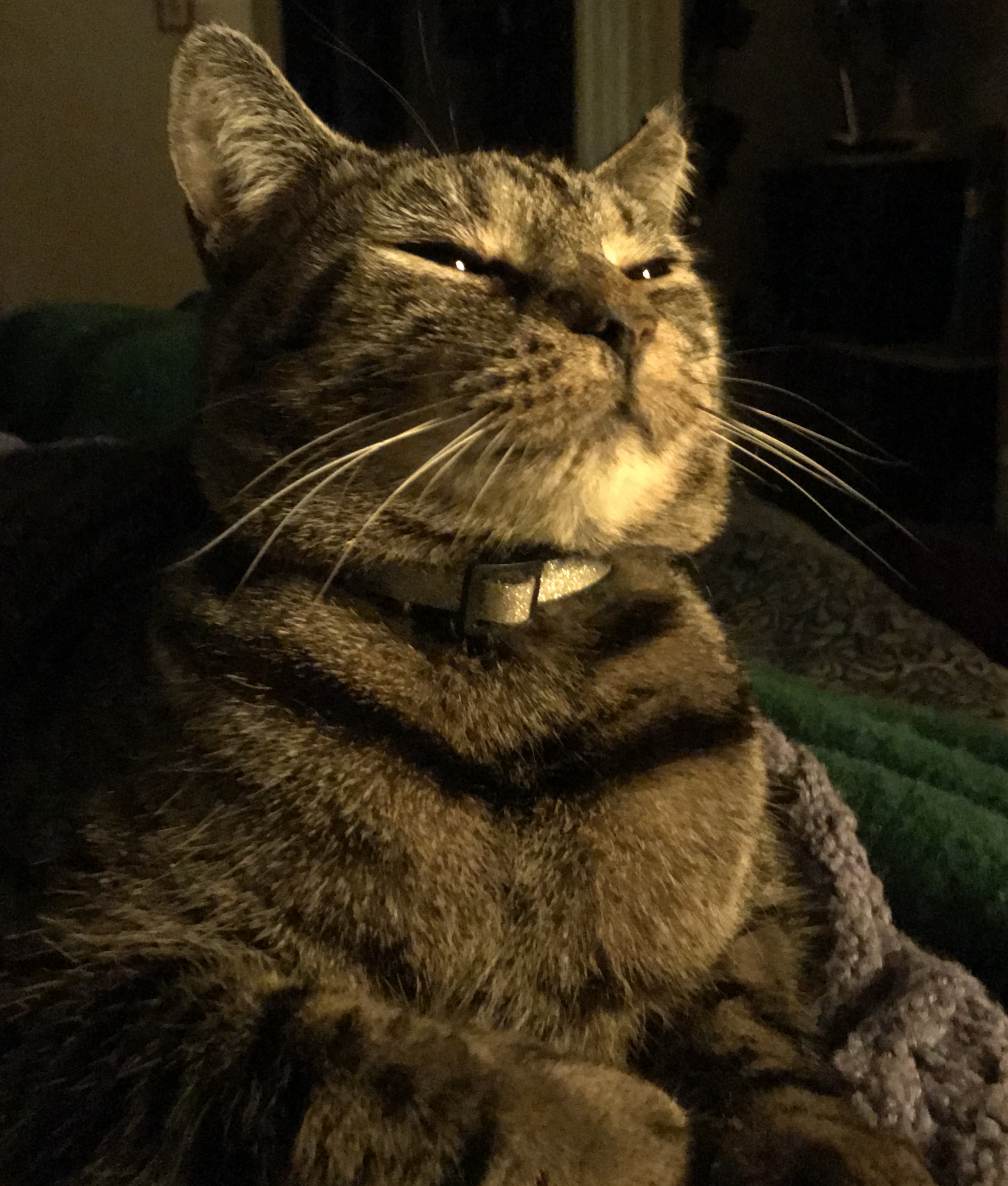 Thrym, King of Jotunheim, approves.