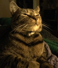 Thrym, King of Jotunheim, approves.